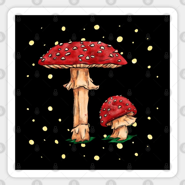 Amanita Muscaria